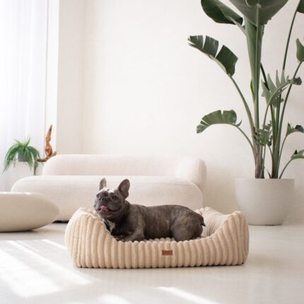 legowisko i pies amstaff-czarny-w-bezowym-palermo