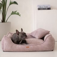 amstaff-w-rozowym-legowisku-milano.jpg